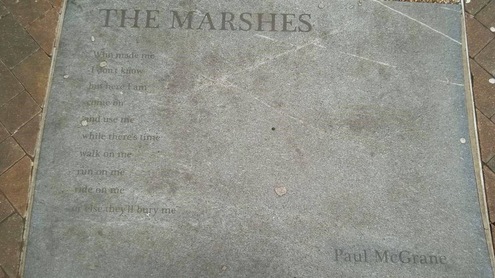 The-Marshes